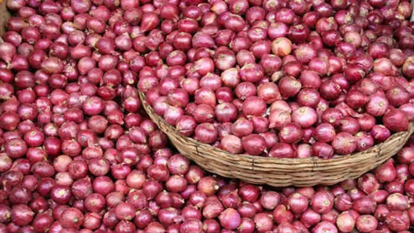 onion onion