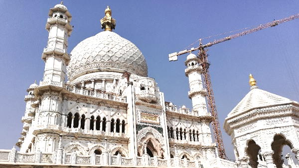 सिर्फ एक जीवित कृति तितली की