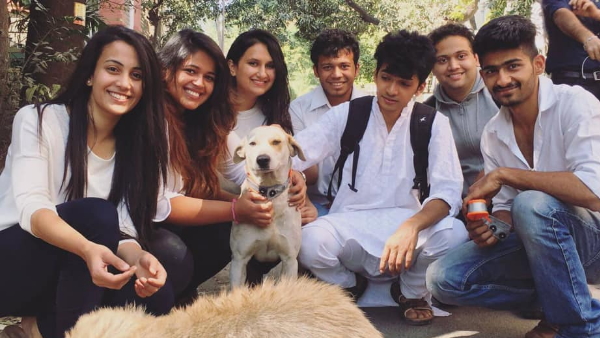 आवारा कुत्तों के लिए बनाया पट्टा