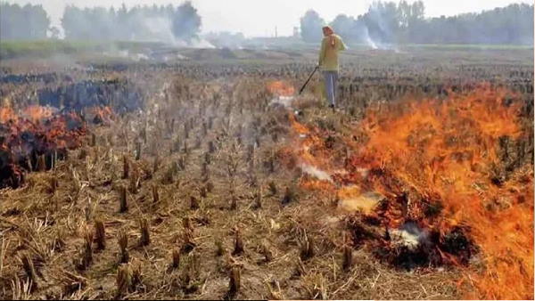 Stubble Burning cases: More than Two hundred farmers fined at auraiya Stubble Burning cases: More than Two hundred farmers fined at auraiya