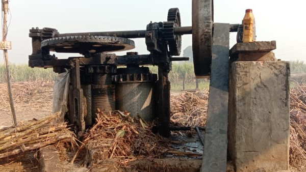 bagpat missing woman did suicide bagpat missing woman did suicide