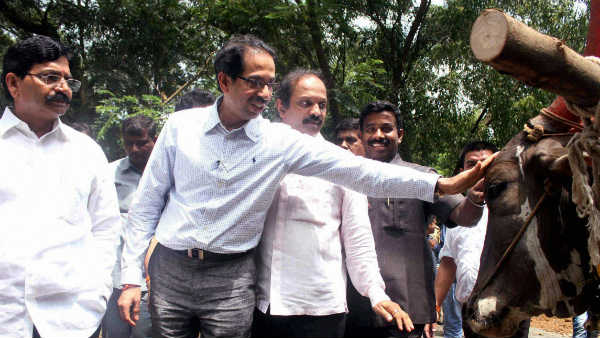 Shiv sena Shiv sena