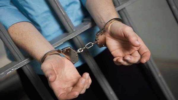 dentist arrested for strangling puppy try to kill woman in ghaziabad dentist arrested for strangling puppy try to kill woman in ghaziabad