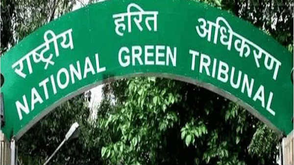 NGT ने प्रदूषण नियंत्रण बोर्ड को दिए निर्देश- उपयोग न हों 50 माइक्रोन से कम मोटाई वाले प्लास्टिक NGT ने प्रदूषण नियंत्रण बोर्ड को दिए निर्देश- उपयोग न हों 50 माइक्रोन से कम मोटाई वाले प्लास्टिक