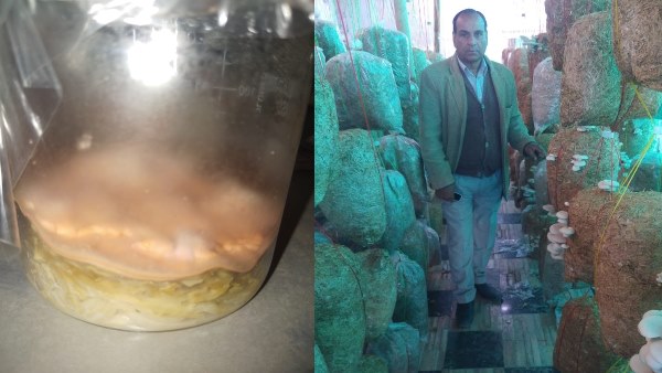 डेढ़ करोड़ में सीकर में लगाया प्लांट