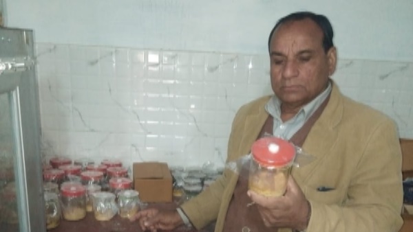 ऐसे तैयार की कोडी सेफ मशरूम