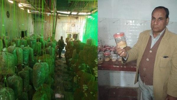 Motaram Sharma Sikar Farmer Motaram Sharma Sikar Farmer