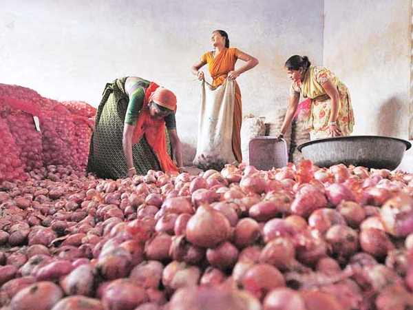 In Gujarat, onion price today beat Dollar & euro In Gujarat, onion price today beat Dollar & euro