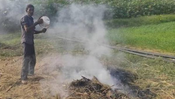 Gujarat, locusts entering gujarat, Pakistan, locusts, गुजरात में टिड्डी, गुजरात, पाकिस्तान, टिड्डी Gujarat, locusts entering gujarat, Pakistan, locusts, गुजरात में टिड्डी, गुजरात, पाकिस्तान, टिड्डी