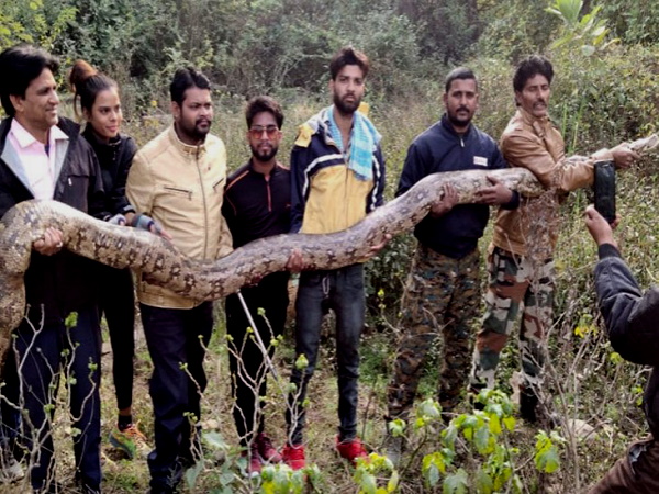 Watch : 14 feet long python rescued in kota - rajasthan, Video goes to viral Watch : 14 feet long python rescued in kota - rajasthan, Video goes to viral
