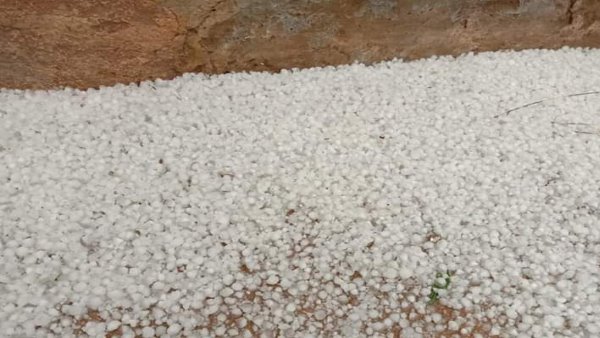 rajasthan weather update Rain and Hail in many districts rajasthan weather update Rain and Hail in many districts