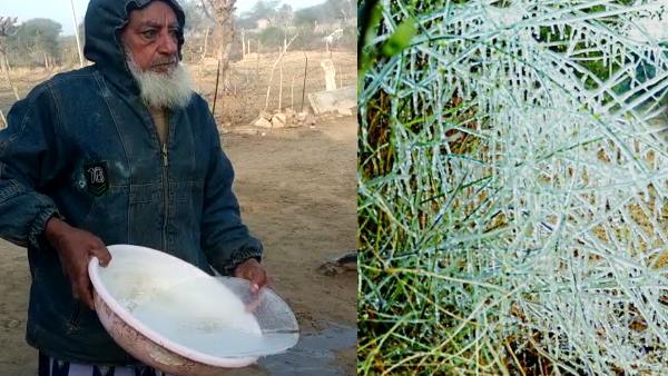 sikar shivers at minus 3 degrees Cold Day Alert for seven district of Rajasthan sikar shivers at minus 3 degrees Cold Day Alert for seven district of Rajasthan