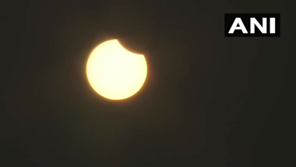घर में अगर तुलसी हो तो ....