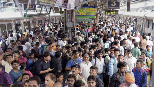 चूहों की शिकायतों में 70% से ज्यादा की कमी