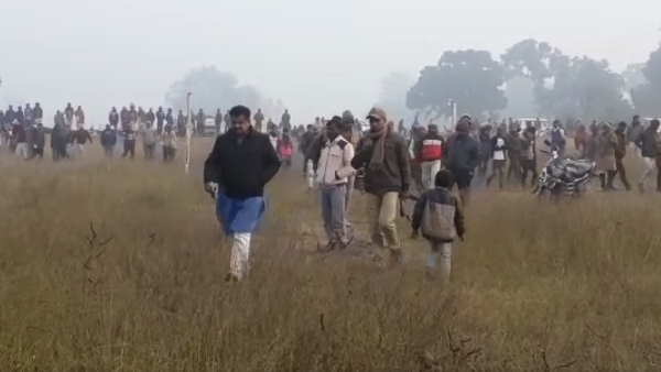 gorakhpur bjp mp pet elephant killed man gorakhpur bjp mp pet elephant killed man
