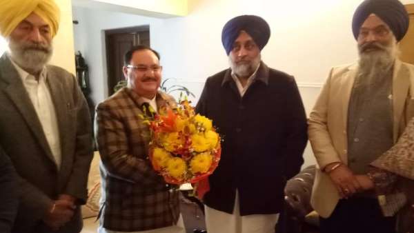 वुलपरसपक वुलपरसपक