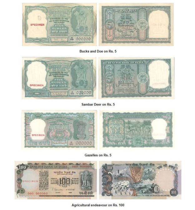 RBI RBI