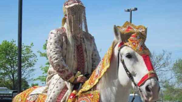 horse go on rampage after hearing dj sound 5 injured including groom horse go on rampage after hearing dj sound 5 injured including groom