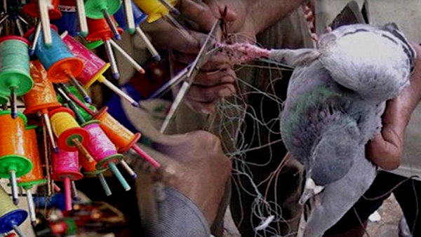 2019 की तुलना में इमरजेंसी केस 14 पर्सेंट बढ़े