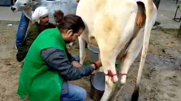 Tej Pratap Yadav seen in new look again Tej Pratap Yadav seen in new look again