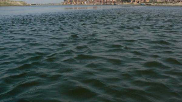 नारनौल के महेन्द्रगढ़ चौराहा से सर्वे शुरू