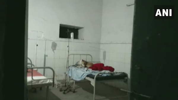 uttar pradesh pilibhit community hospital picture viral uttar pradesh pilibhit community hospital picture viral
