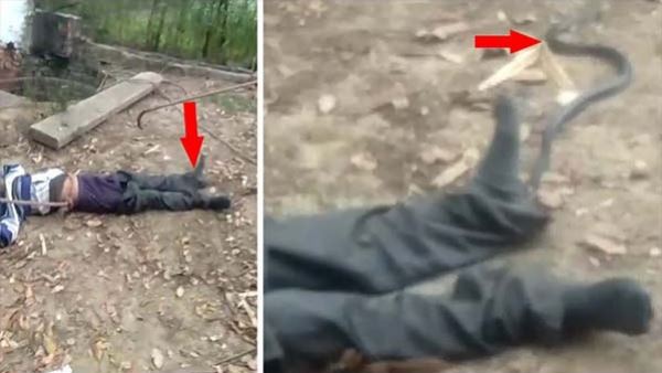 सांपों से भरे कुएं में गिरा युवक