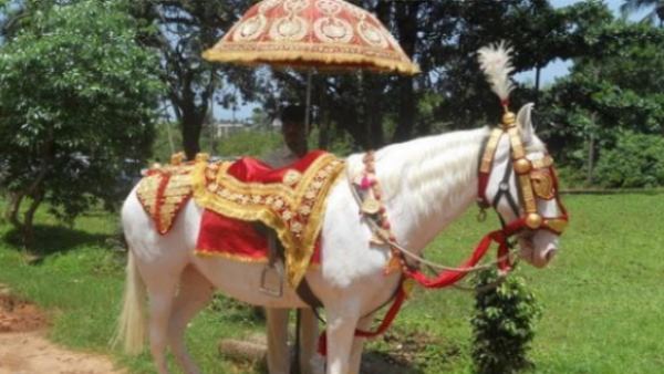 सुरक्षा के बावजूद हुआ हमला
