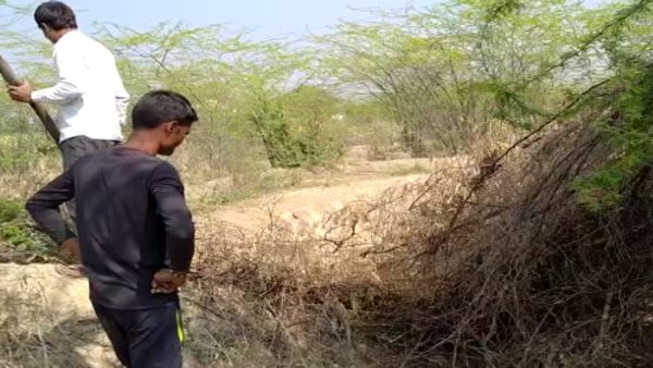 nagaur nagaur