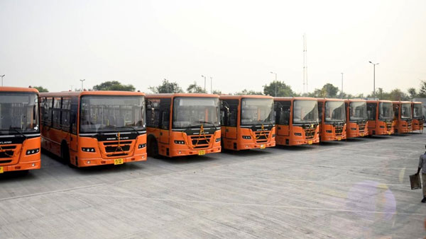 Delhi Delhi