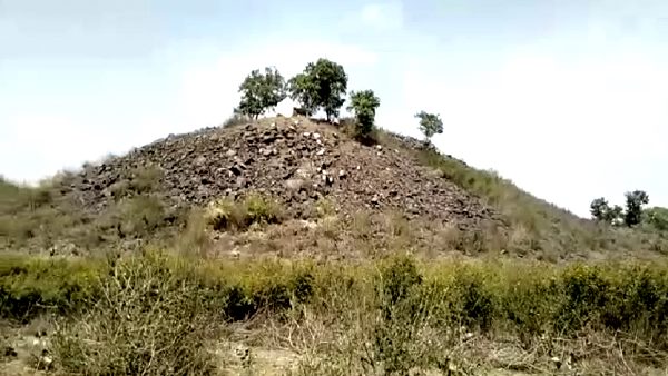 जीएसआई ने खारिज किया दावा