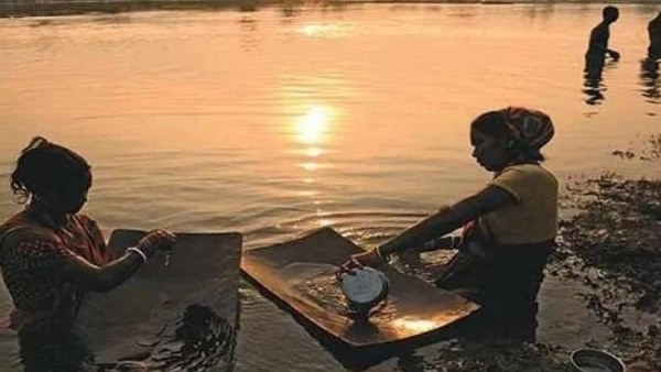 आदिवासी इसी से चलाते हैं अजीविका