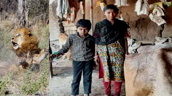शिवा की चचेरी बहन है कैलाशबेन