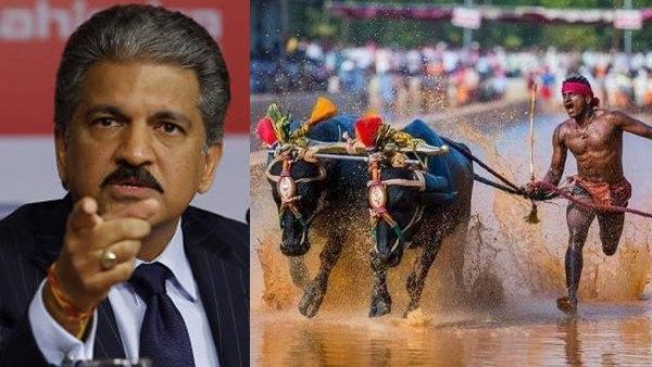 आनंद महिंद्रा ने की है ये अपील