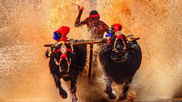 निशांत शेट्टी ने वेन्नूर कंबाला रेस में बनाया नया रिकॉर्ड