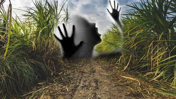 20 years imprisonment to rapist 20 years imprisonment to rapist