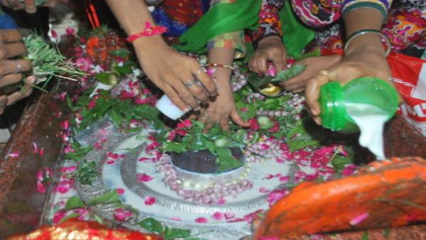 पूरे वर्ष कार्यक्रम