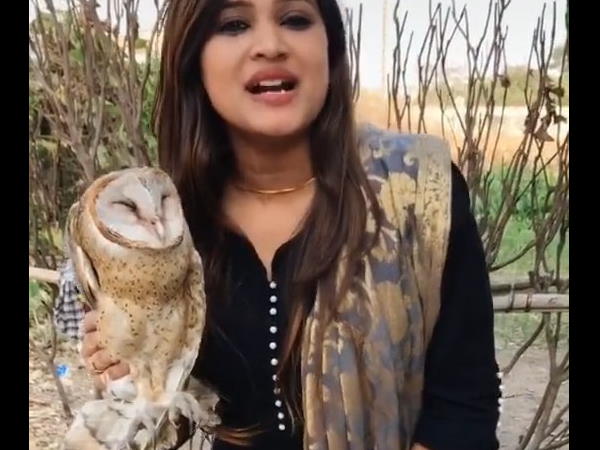 सिर चढ़कर बोल रहा टिक टॉक का नशा