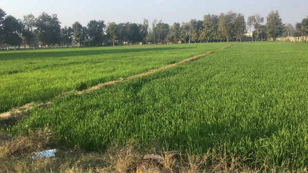 24 फरवरी को मस्जिद निर्माण पर फैसला
