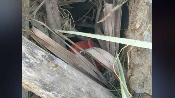 bihar gaya cylinder bomb find in a pile of wood bihar gaya cylinder bomb find in a pile of wood