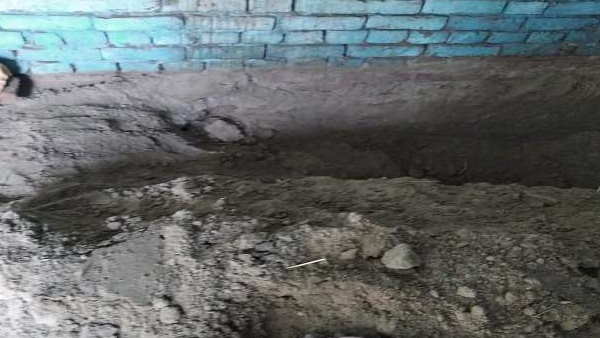 uttar pradesh bahraich man did murder of his brother uttar pradesh bahraich man did murder of his brother