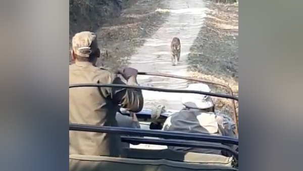 ड्राइवर ने बदल लिया रास्ता