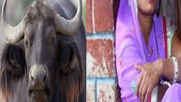 महिला को इंजेक्शन लगाकर किया बेहोश