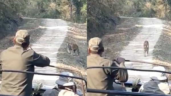 वीडियो को लोग कर रहे हैं पसंद