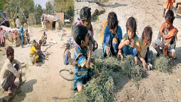 अधिकारियों ने किया गांव का दौरा