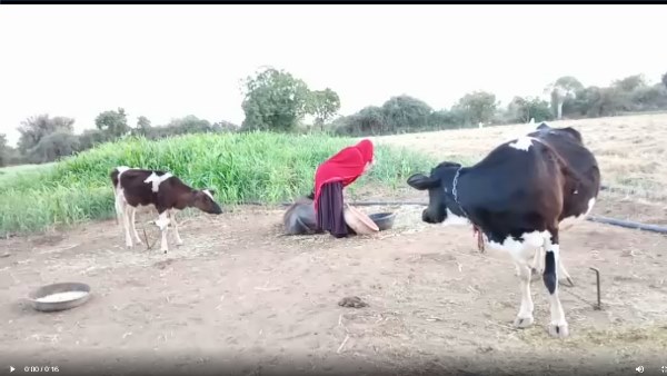 ऊंची कूद में चौथा स्थान हासिल किया