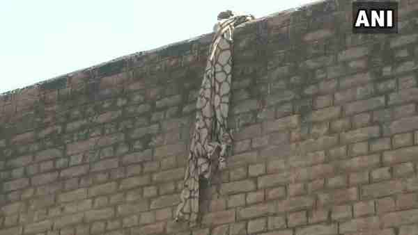 Four prisoners escaped from the Central Jail in Ludhiana Four prisoners escaped from the Central Jail in Ludhiana