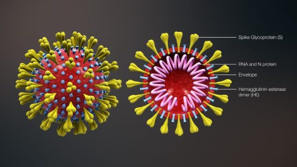 Coronavirus Coronavirus