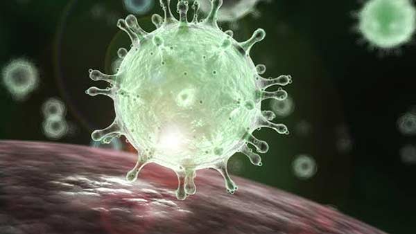 इस क्रिकेटर का Coronavirus टेस्ट निकला पॉजिटिव, ट्वीट कर खुद दी जानकारी इस क्रिकेटर का Coronavirus टेस्ट निकला पॉजिटिव, ट्वीट कर खुद दी जानकारी