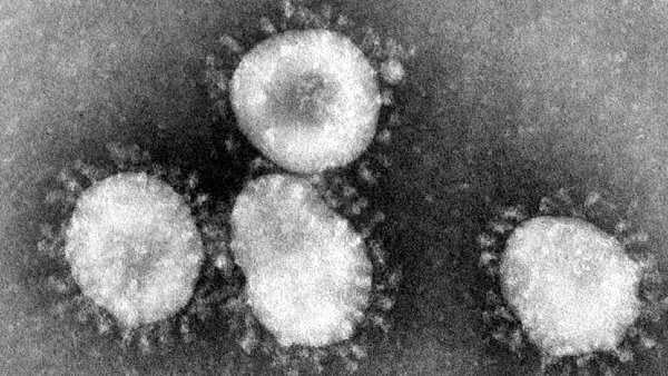 Coronavirus Coronavirus